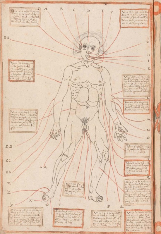 depicting a Bloodletting Figure, copied from the Fasciculus medicinae, after 1491, Austria?, 32.8 x 21.8 cm, ink on paper. Collection Österreichische Nationalbibliothek, Vienna.
