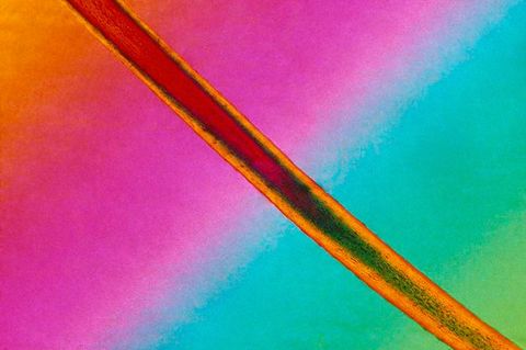 Tapestry. A line cuts from the top left corner to the bottom right of this horizontal composition against a vividly coloured background. The line is forest green and red at its centre, and marigold orange at the edges. The background blends from pumpkin orange to magenta pink, then aqua blue and lime green. Those bands run opposite of the slicing line.