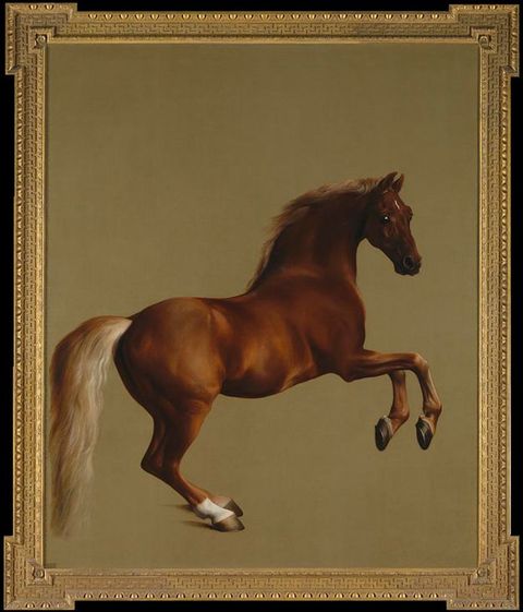 Painting. Facing our right in profile, a chestnut-brown horse, named Whistlejacket, rears against a blank, olive-green background.