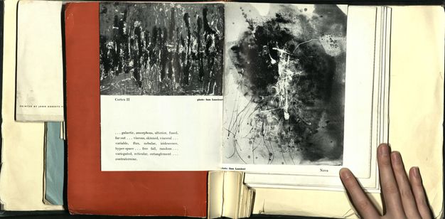 Open book. A hand holds open a spread in an exhibition catalogue showing two works reproduced in black and white. The image on the left, labelled 'Cortex II' is mostly dark and light vertical strokes against a lighter field. The right shows a work of dripped and scribbled white and black lines against a field of mottled grey, this one labelled 'Nova'.