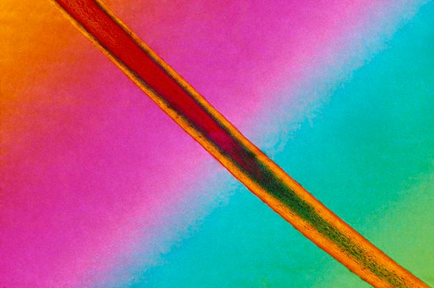 Tapestry. A line cuts from the top left corner to the bottom right of this horizontal composition against a vividly coloured background. The line is forest green and red at its centre, and marigold orange at the edges. The background blends from pumpkin orange to magenta pink, then aqua blue and lime green. Those bands run opposite of the slicing line.