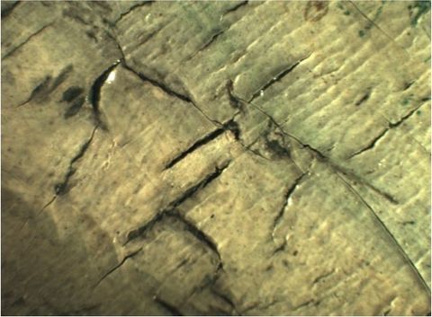 Photomicrograph. Extremely close view of a sage-green, painted surface shows cracks, some of which slightly lift away from the underlying layers of paint.