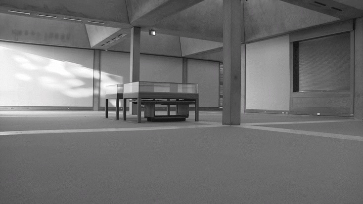 Black and white animation. We look from a low perspective across a large indoor space at two rectangular display cases. Photographs of this scene are animated on a short loop so lights from a bank of windows slides across the wall, coming from our left. Once it falls on the cases, the light retreats.