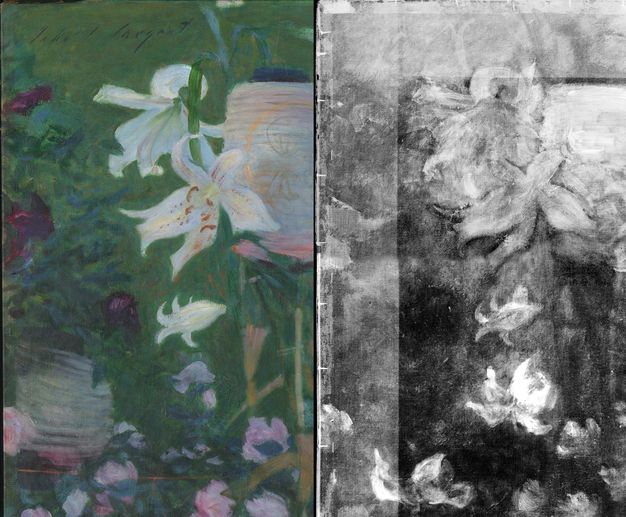 Painting and X-radiograph. Detail view of a painting showing white lilies and roses is to our left. A black and white X-radiograph of the same area is to the right. Bright white spots in the lower right show where lilies were overpainted to show roses in the final work.