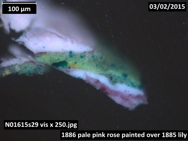 Colour photograph. A microscopic cross section of paint shows a pink and white layer is covered by green and then pink. The background behind the sample is black. Text in the upper corners read, “100µM’ and “03/02/2015”. Labels across the bottom read, “N01615s29 vis x 250.jpeg” and “1886 pale pink rose painted over 1885 lily”.