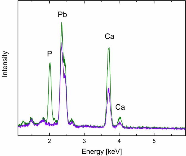 Line graph. The y-axis is labelled “Intensity”. The x-axis is labelled “Energy [keV]” and ranges from 1 to 6 in increments of .5, though only 2, 3, 4, and 5 are marked. A green line spikes over 2, 2.5, and 3.75. The three spikes are labelled “P”, “Pb”, and “Ca”. A purple line mostly follows the green though it only spikes at 2.5 and 3.75. A fourth, lower spike marked by both lines over 4 is labelled “Ca”.