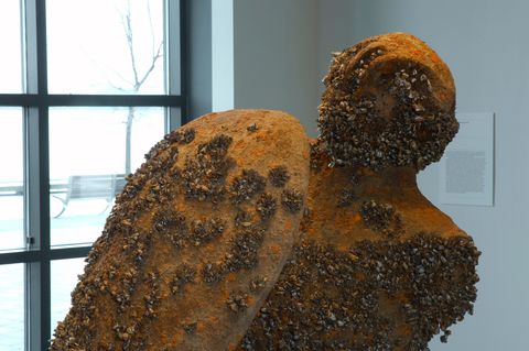 Sculpture. Detail view of the head, shoulders, and shield of an abstracted person. The rusted surface is pocked with colonies of mussel shells. Light comes in from a window behind the sculpture, to our left.