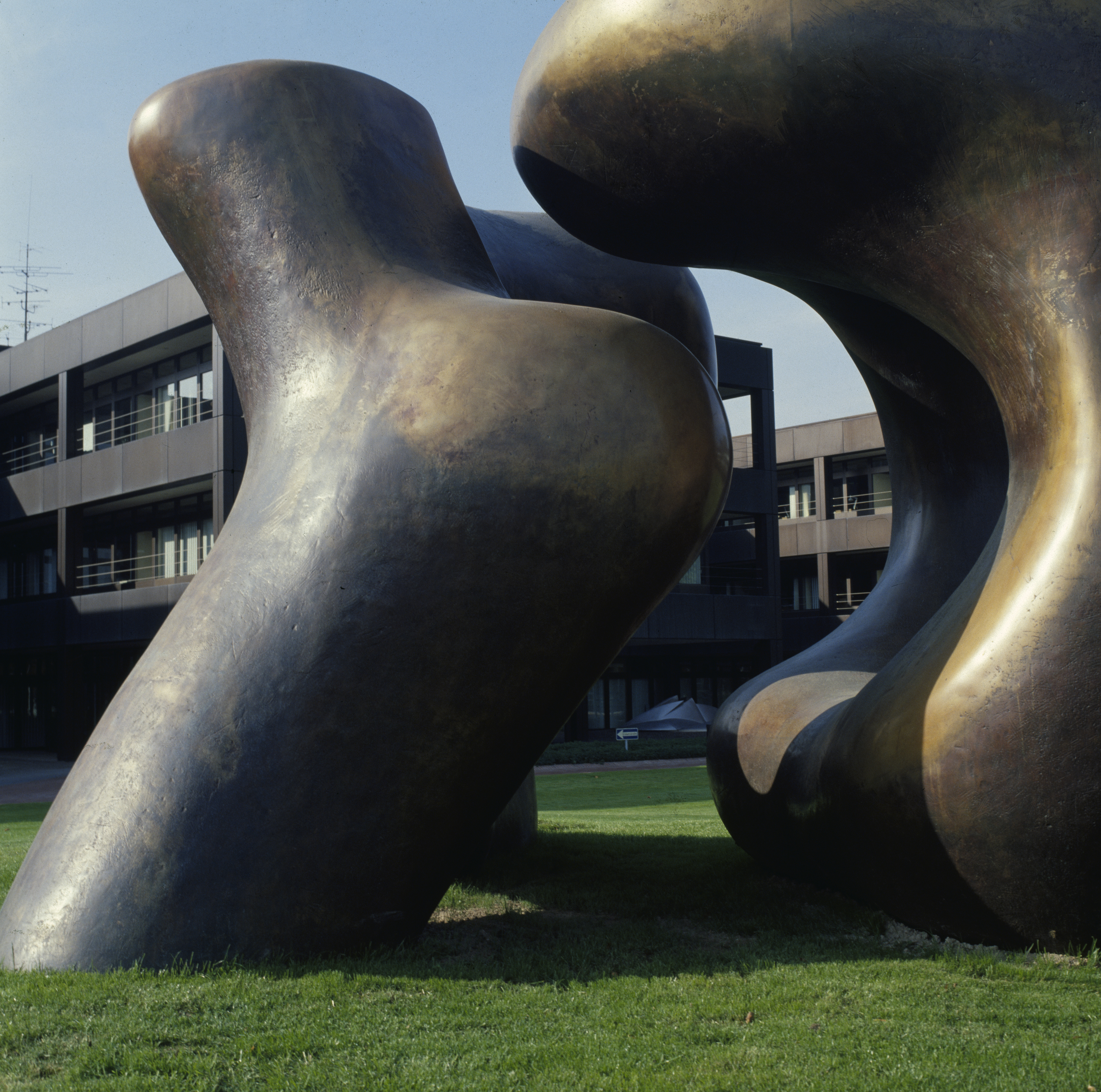 Sculpture. Two rounded, abstract forms sit on a grassy lawn in front of and nearly as tall as a three-storey building. One rounded form curves up and over the other. The surface of the bronze is darkened in some areas and matte gold in others.