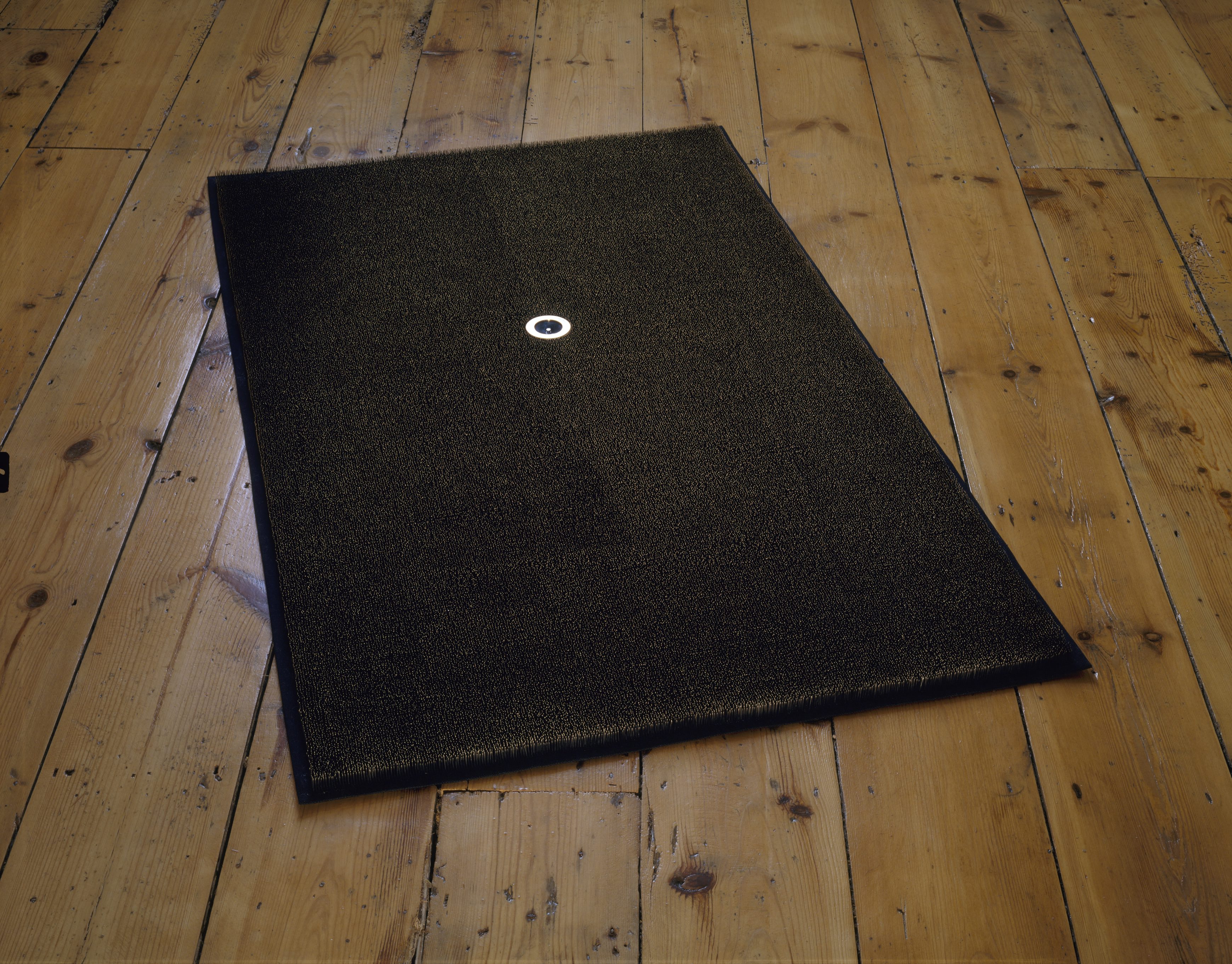 Sculpture. What appears to be a dark mat lies on a wide-planked, wood floor. Closer inspection reveals it is made up of rows of pins. A white circle at the centre is an embedded compass.