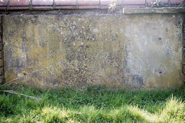 Colour photograph. A segment of brown wall displays traces of carved words in a stone panel. Brick and tiles can be seen at the very edges of the photograph.