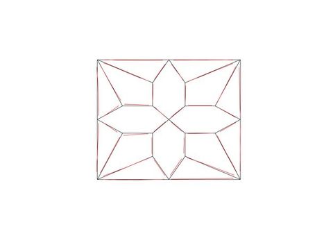 Diagram. A rectangle enclosing an octagonal, flower-like pattern is outlined in red and black. The lines are close but rarely completely overlap.