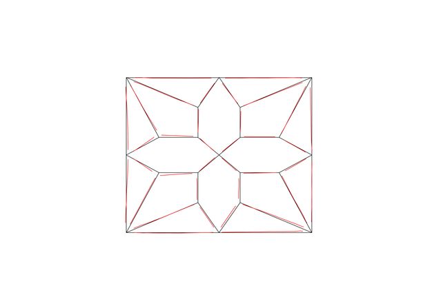 Diagram. A rectangle enclosing an octagonal, flower-like pattern is outlined in red and black. The lines are close but rarely completely overlap.