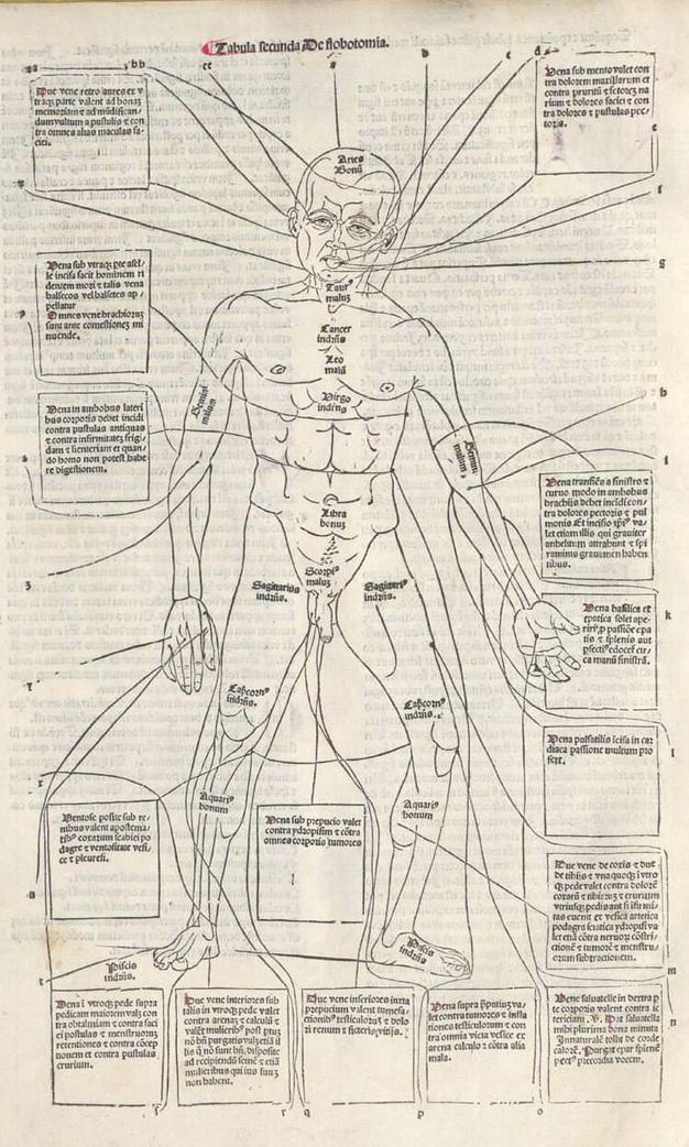 Illustration. Areas of a man’s body are labelled on the body itself and in text boxes around the figure that are connected to the body with lines.