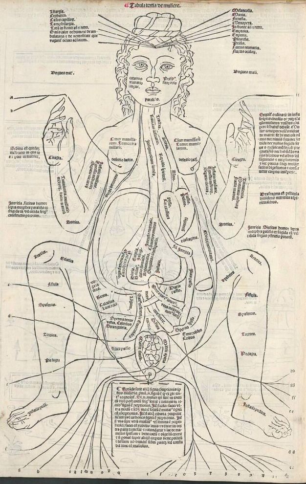 Illustration. A woman bends her arms and legs so her elbows and knees nearly touch. Skin has been removed to show the organs, including a tiny foetus, in her tear-drop-shaped torso. Body parts are labelled on the body and in text around the perimeter of the illustration.