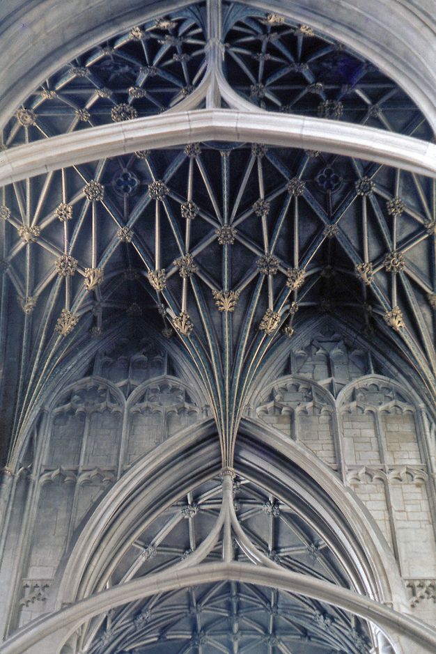 Architecture. The vault behind a pointed arch is filled with nets of ribbing with gold rosettes at the intersections. The nets funnel into three points. What appears to be freestanding ribbing drops from the centre funnel and curves down and out, like a coat hanger.