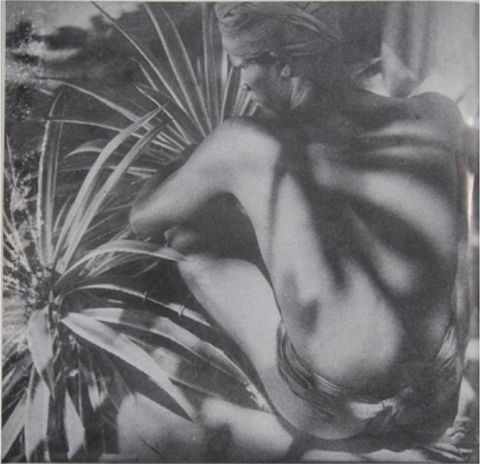 Black and white photograph. Shadows cut across the back of a dark-skinned man seated facing away from us with his arms around his knees. He wears a cloth wrapped around his waist and another around his head. Spiky tropical plants fill the space around him.