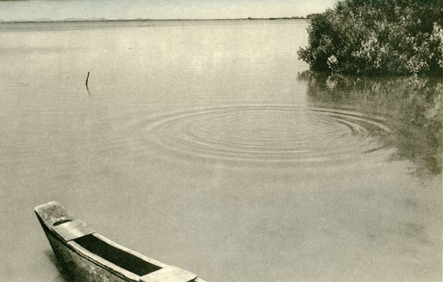 Photogravure. The still surface of a body of water is disturbed only by concentric ripples to our right of centre. One end of a narrow boat edges into the scene in the lower left, and bushes touch the waterline in the upper right corner. The horizon comes nearly at the top of the composition.
