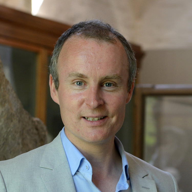 Picture of Nicholas Tromans