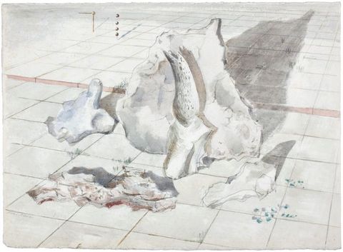 Watercolour. Four craggy white objects, which look like fragments of flint, are shaded with pale blue or pink and cast long shadows against a gridded floor.