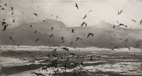 Print. The black silhouettes of dozens of birds flick against a shimmering body of water and mountains in this etched landscape.
