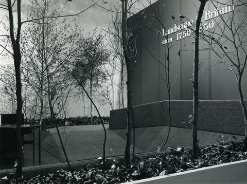 Installation. Black and white photograph of spindly trees growing in long planter boxes at the entrance to an exhibition.