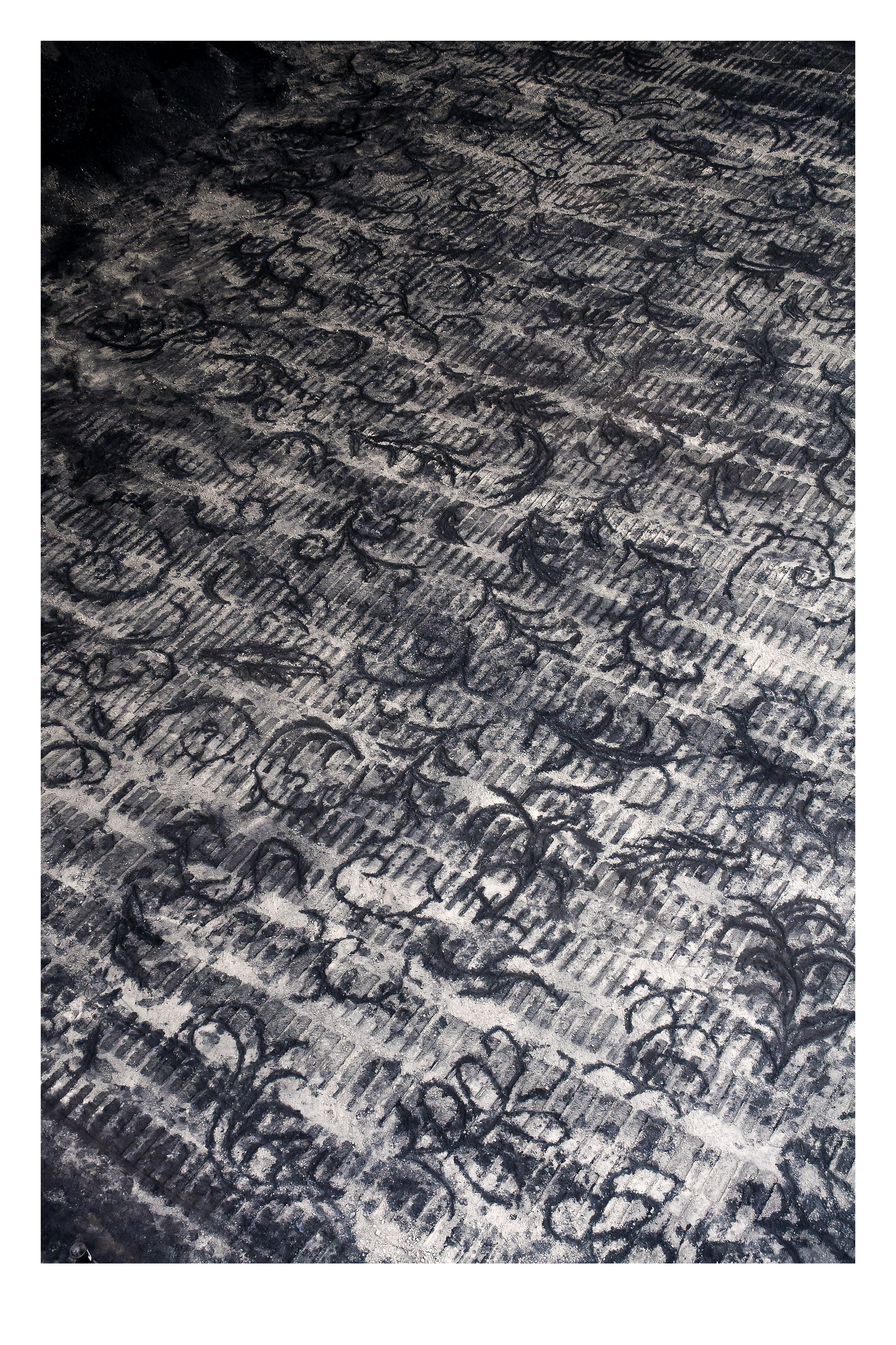 Black line drawings of leaves and curling stems are sketched into a ground covered with stone dust and then bulldozed to create long rows of short parallel lines. The drawn leaves span the track marks like a pattern across the weft and warp of a carpet.