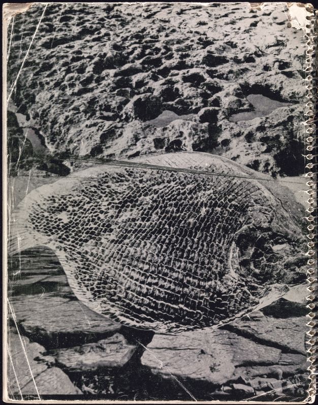 Book cover. The back cover of a spiral-bound book is illustrated in black and white with a fossil of a fish shown against a rocky beach.