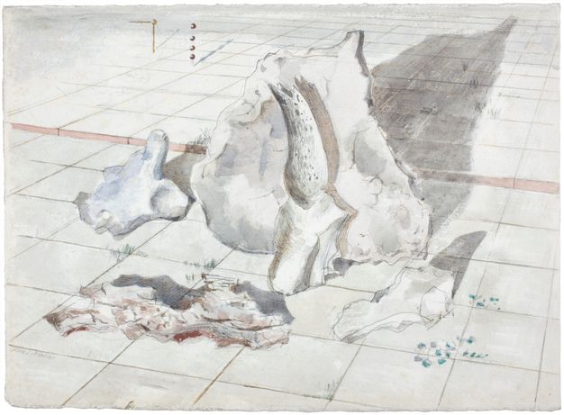 Watercolour. Four craggy white objects, which look like fragments of flint, are shaded with pale blue or pink and cast long shadows against a gridded floor.