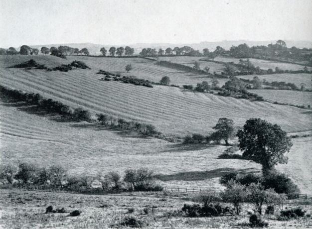 Black and white photograph. Furrowed fields sweep gently up and away from us. The horizon comes about four-fifths of the way up the composition so the fields nearly fill our view.