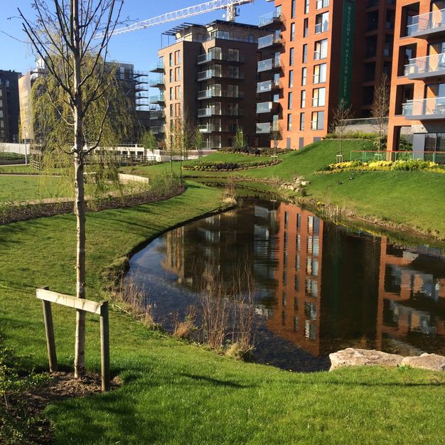 Architecture. Blocks of flats line a small pond.