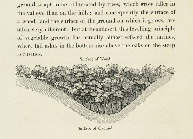 Illustration. A cross section drawing of a valley is filled with trees to make an even line of canopies across the top. It is labelled “Surface of Wood” above and “Surface of Ground” below. Text appears on the page above the illustration.