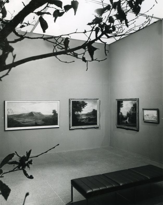 Installation. Black and white photograph shows four paintings hanging in a corner of an exhibition. A live tree is silhouetted in black across the top and left side of the picture.