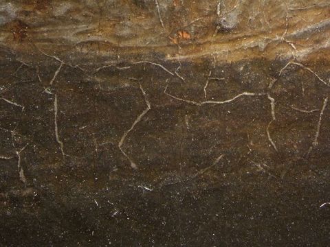 Painting. Detail view of white showing through cracks in a brown layer of paint.