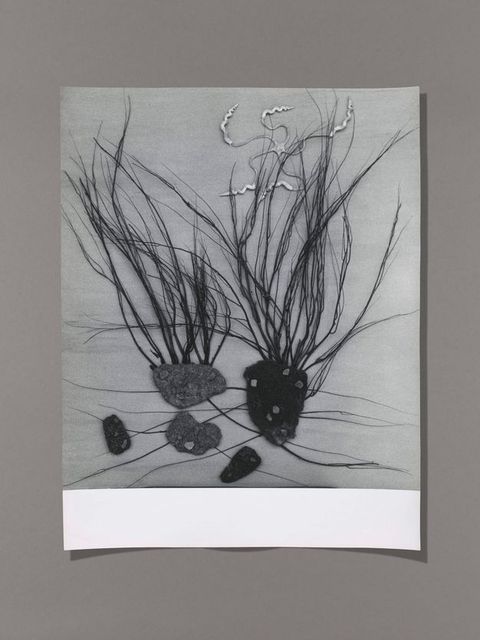 Black and white photograph. Wispy reeds and grasses seme to grow from flat grey and black objects, perhaps stones. A wavy form at the top is like a skinny starfish, and appears to be made from metal.