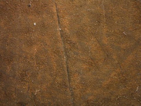 Painting. Detail view of a single long crack in a layer of leather-brown paint.
