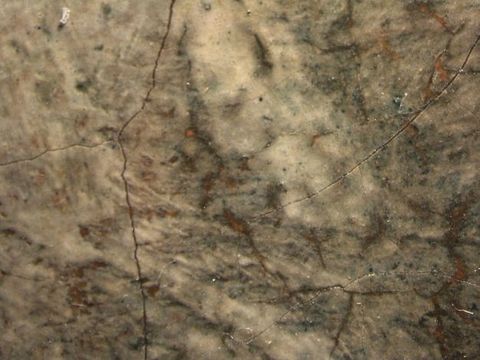 Painting. Detail view of dark paint showing through cracks in a layer of ivory-white paint.
