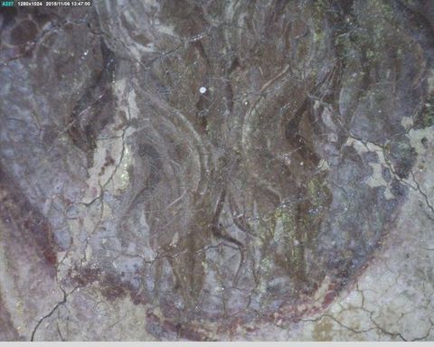 Painting. Detail view of a grey beard. Cracks create a network across the painted surface.