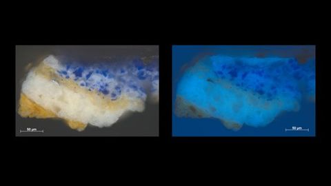Microscopic cross sections of paint. From the bottom up, the image on our left has layers of dark yellow, cream white, yellow again, and blue-speckled white. The image on the right is of the same sample but is in shades of blue. Each image is labelled “50 µm” in the lower right corner.