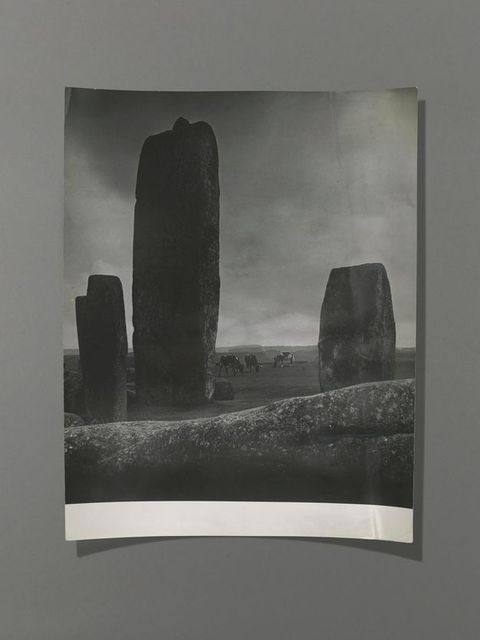 Black and white photograph. Three or four stones stand nearly silhouetted against a low horizon and cloudy sky. Three cows graze on the grassy plain beyond.