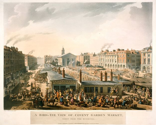 Illustration. A market stretches between long rows of buildings nearly as far as the eye can see. People and horses and carriages teem within a U-shape of buildings and stalls.