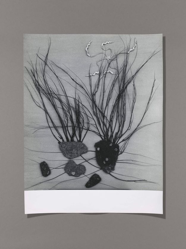 Black and white photograph. Wispy reeds and grasses seme to grow from flat grey and black objects, perhaps stones. A wavy form at the top is like a skinny starfish, and appears to be made from metal.