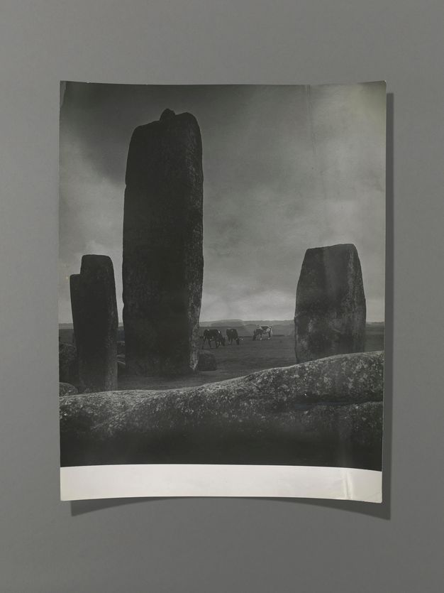 Black and white photograph. Three or four stones stand nearly silhouetted against a low horizon and cloudy sky. Three cows graze on the grassy plain beyond.