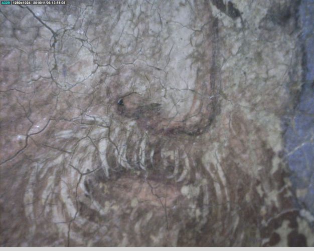 Painting. Detail view of the nose, mouth, and moustache of a pale-skinned person. Cracks create a network across the painted surface.