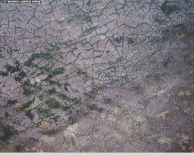 Painting. A layer of lavender-purple paint is cracked to reveal a forest-green layer beneath.