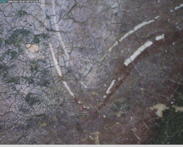 Painting. Detail view of a cracked painted surface with bands of white against a lilac-purple background.