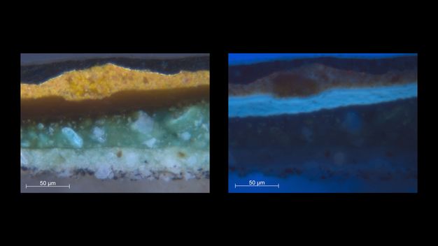Microscopic cross sections of paint. From the bottom up, the image on our left has layers of white, sage green, brown, and gold. The image on the right is of the same sample but, also from the bottom up, ocean, midnight, and then topaz blue. The layer that is gold on the left appears brown here. Each image is labelled “50 µm” in the lower right corner.