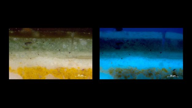 Microscopic cross sections of paint. From the bottom up, the image on our left has layers of dark yellow, cream white, laurel green, and brown. The image on the right is of the same sample but is in shades of blue. Each image is labelled “20 µm” in the lower right corner.