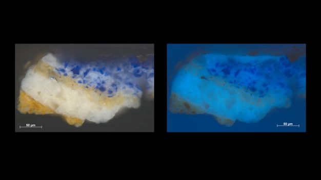 Microscopic cross sections of paint. From the bottom up, the image on our left has layers of dark yellow, cream white, yellow again, and blue-speckled white. The image on the right is of the same sample but is in shades of blue. Each image is labelled “50 µm” in the lower right corner.