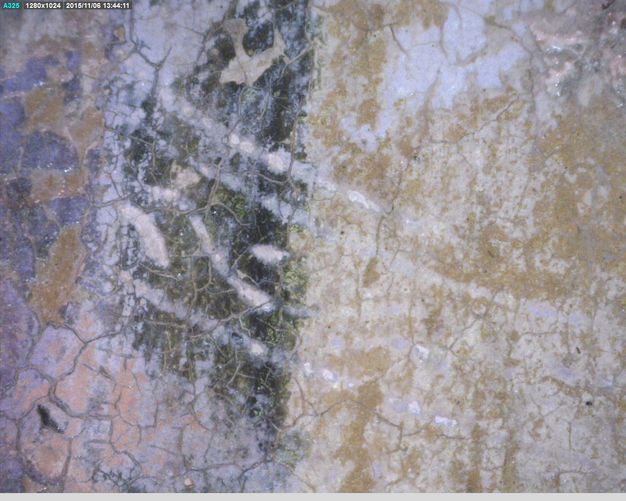 Painting. Detail view of a cracked painted surface with white bands spanning periwinkle purple, forest green, and bone brown paint.