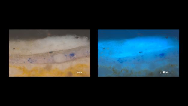 Microscopic cross sections of paint. The image on our left has layers of dark yellow, a band with flecks of vivid purple in white, and a layer of white. The image on the right is of the same sample but is in shades of blue. Each image is labelled “20 µm” in the lower right corner.